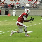 Brittan Golden makes a catch at Arizona Cardinals Training Camp in Glendale Tuesday, August 4, 2015. (Photo: Vince Marotta/Arizona Sports)
