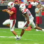 Trevor Harman makes a catch at Arizona Cardinals Training Camp in Glendale Tuesday, August 4, 2015. (Photo: Vince Marotta/Arizona Sports)