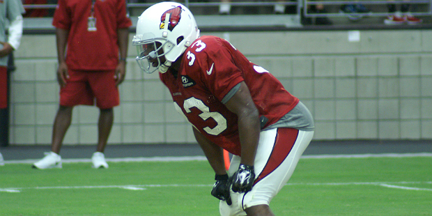 Running back Kerwynn Williams waits for the snap during Arizona Cardinals training camp Aug. 7. (Ph...