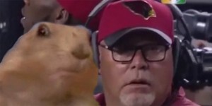 Dramatic Bruce Arians is the greatest Cardinals meme