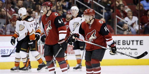 Arizona Coyotes' Kevin Connauton (44) and Max Domi (16) skate back to the bench after a goal by Ana...