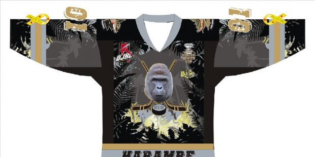 Photo courtesy of the Trenton Golden Hawks...
