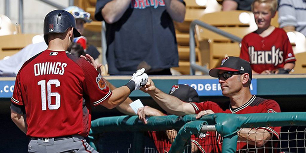 Arizona Diamondbacks shortstop Chris Owings (16) celebrates his home run against the Chicago White ...