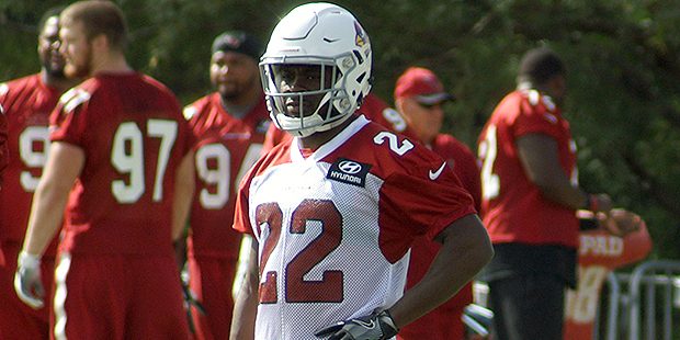 Cardinals RB T.J. Logan waits during an OTA practice May 16. (Photo by Adam Green/Arizona Sports)...
