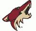 coyotes