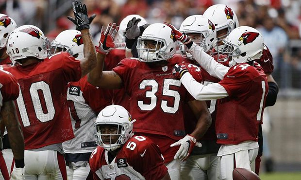 Arizona Cardinals running back Elijhaa Penny (35) celebrates his touchdown with Brittan Golden (10)...