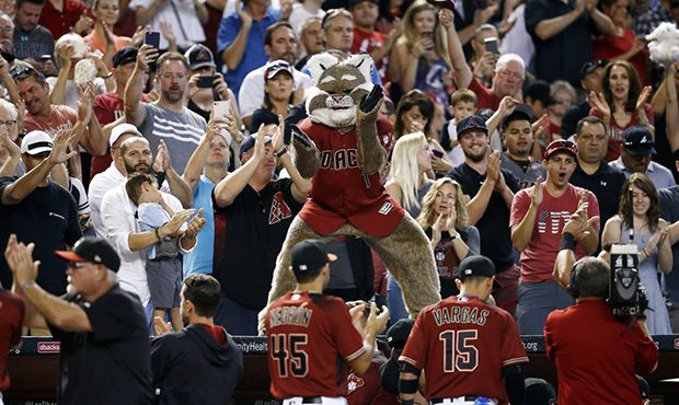 Arizona Diamondbacks mascot Baxter applauds along with fans as it is announced the Diamondbacks cli...