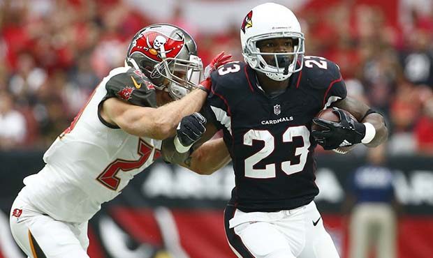 Arizona Cardinals running back Adrian Peterson (23) tries to run past Tampa Bay Buccaneers free saf...
