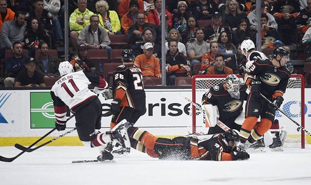 Arizona Coyotes left wing Brendan Perlini, left, watches a shot against Anaheim Ducks goalie John G...