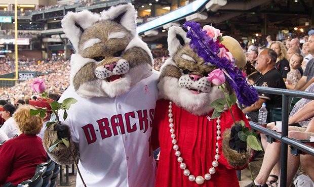 (Twitter Photo/@DbacksBaxter)...