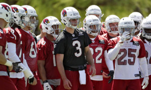Unusually large crop of free agents opens Cardinals rookie mini-camp