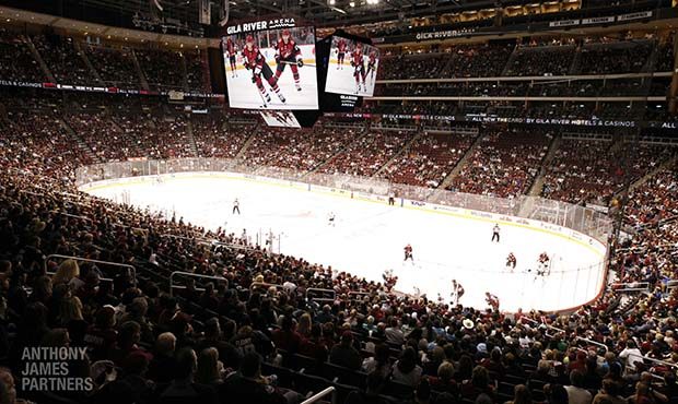 (Courtesy of Arizona Coyotes)...
