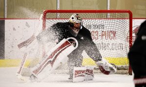 Arizona Coyotes cut six players from training camp roster