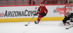 Former Blackhawks hope to help Coyotes turn around fortunes