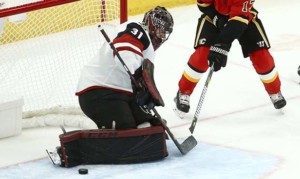 Coyotes G Hill to start vs. Preds, Raanta has bone bruise
