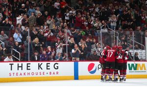 Coyotes to give out street hockey setup with weekend ticket package