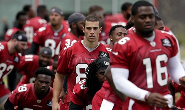 Arizona Cardinals' Andy Isabella, center, works out with teammates during an NFL football organized...