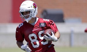 Cardinals' WR Andy Isabella sets bar high for rookie season