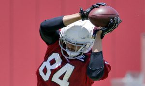 Rookie tight end Caleb Wilson 'locking in' on improving craft with Cardinals
