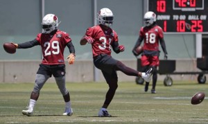 Cardinals pre-camp preview: Can RBs Johnson, Edmonds become dynamic?
