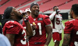 Cardinals' sideline fruit cart steals the show at training camp