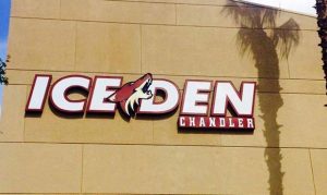 Arizona Coyotes step up to replace stolen hockey equipment