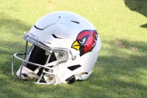 Cardinals earn props from ESPN's Aaron Schatz on under-25 talent list