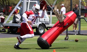 Cardinals re-sign Miles Brown to practice squad, release Justin Davis