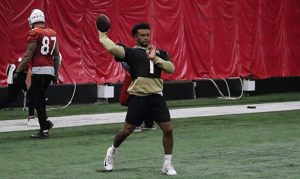 Warner, Palmer on what Cardinals' Kyler Murray is missing without OTAs