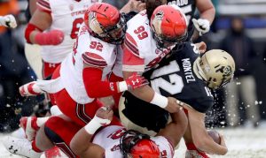 Former rugby player Leki Fotu hopes to expand his game with Cardinals