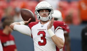 Arizona Cardinals release QB Drew Anderson, 9 others