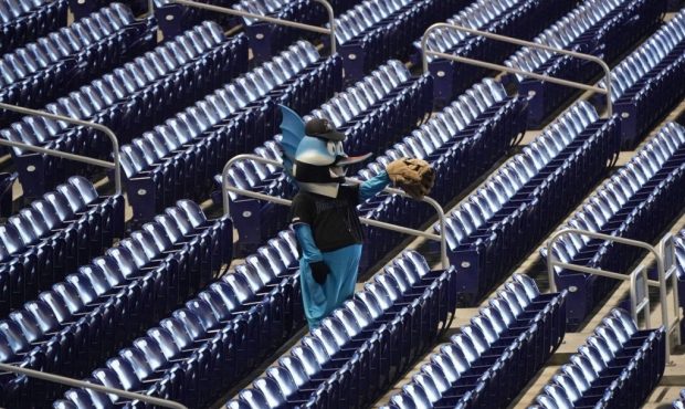 Wearing a mask to prevent the spread of the new coronavirus, Miami Marlins mascot Billy the Marlin ...