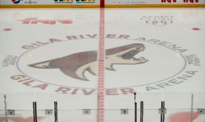Arizona Coyotes hire Cory Banika as an amateur scout