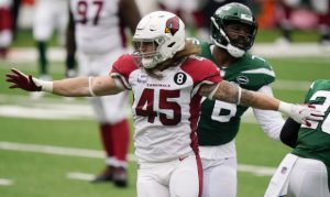 Dennis Gardeck's sack dances get uneven reviews by Cardinals