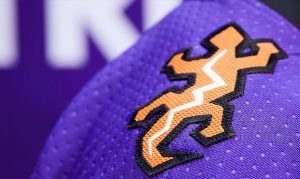 Arizona Coyotes tease new Reverse Retro jerseys before full release