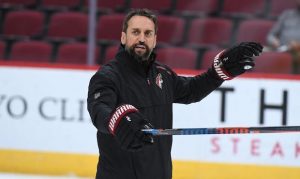 Arizona Coyotes name Steve Potvin head coach of Tucson Roadrunners