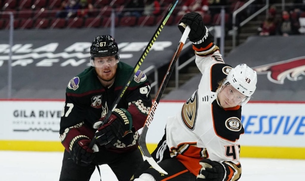 Arizona Coyotes left wing Lawson Crouse (67) checks Anaheim Ducks defenseman Hampus Lindholm in the...