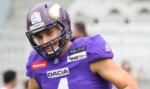 TE Bernhard Seikovits up for the challenge of making Cardinals roster