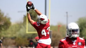 Shake & bake: Bernhard Seikovits taking in US culture, Cardinals coaching