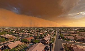 Cardinals players give their best guess of what a haboob is