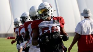 Arizona Cardinals LB Jordan Hicks active vs. Texans