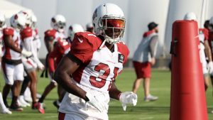 Cardinals sign S Chris Banjo to active roster, release OL Koda Martin