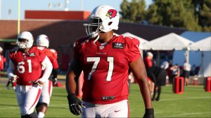 Arizona Cardinals OL Justin Murray out 2-3 weeks with ankle injury