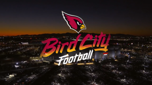 Arizona Cardinals drop new 'Bird City Football' hashtag ahead of NFL Draft