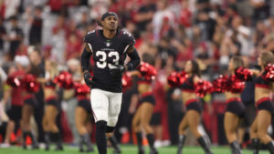 Cardinals CB Antonio Hamilton's skin 90% healed after burn accident