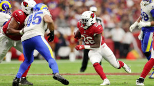 Arizona Cardinals cut backup running back Eno Benjamin