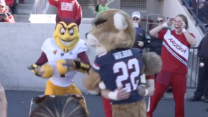 ASU's Sparky spars Arizona's Wilbur before Sun Devils touchdown in Territorial Cup