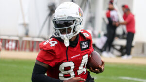 Arizona Cardinals release wide receiver Javon Wims
