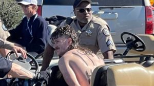 Fan detained after rushing onto green of WM Phoenix Open 16th hole