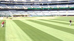 Not again: Zac Gallen's warmup toss for D-backs strikes bird